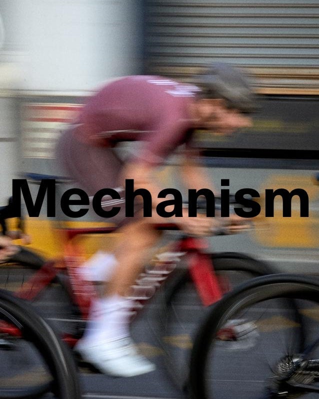 パスノーマルスタジオ ウイメンズ | RAPPORT OSAKA